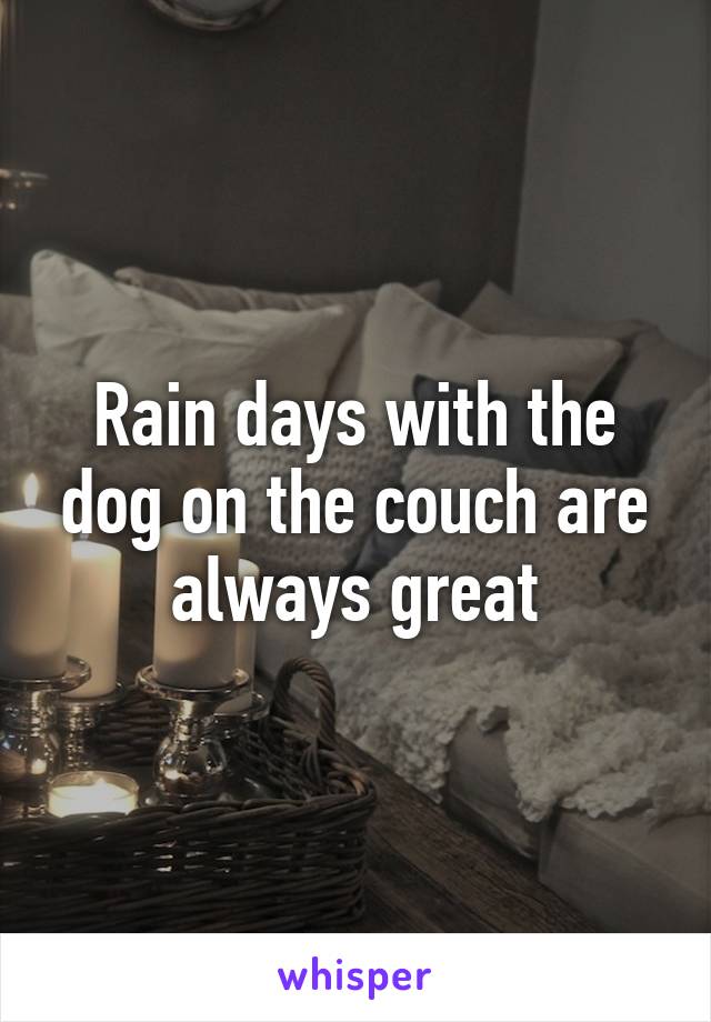 Rain days with the dog on the couch are always great