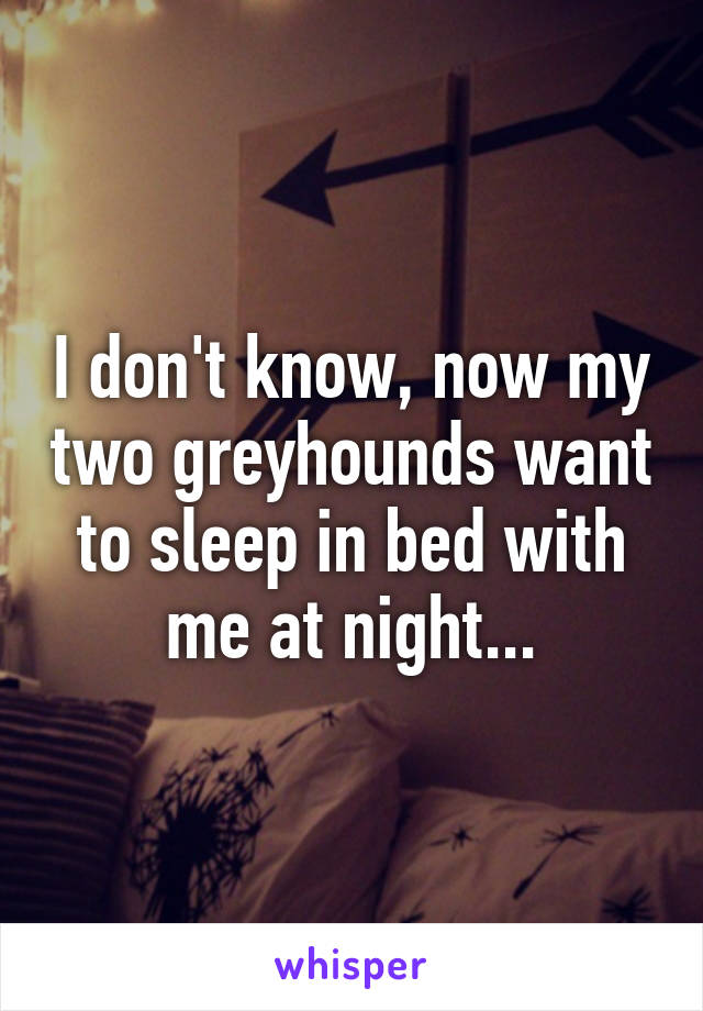 I don't know, now my two greyhounds want to sleep in bed with me at night...