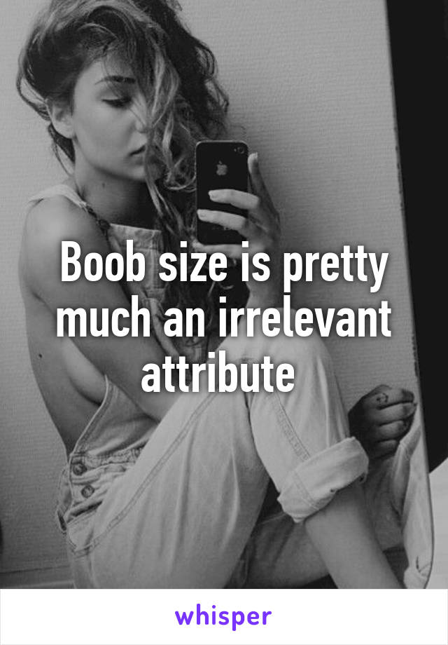 Boob size is pretty much an irrelevant attribute 