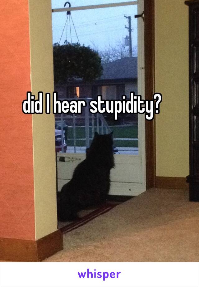 did I hear stupidity?