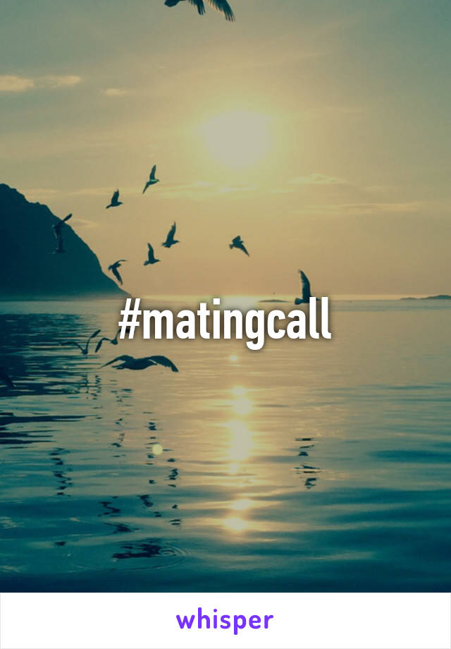 #matingcall