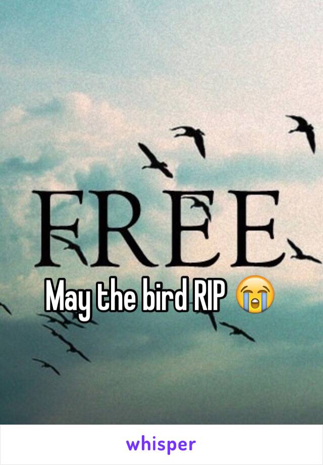 May the bird RIP 😭