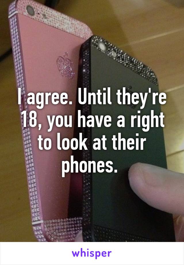 I agree. Until they're 18, you have a right to look at their phones. 