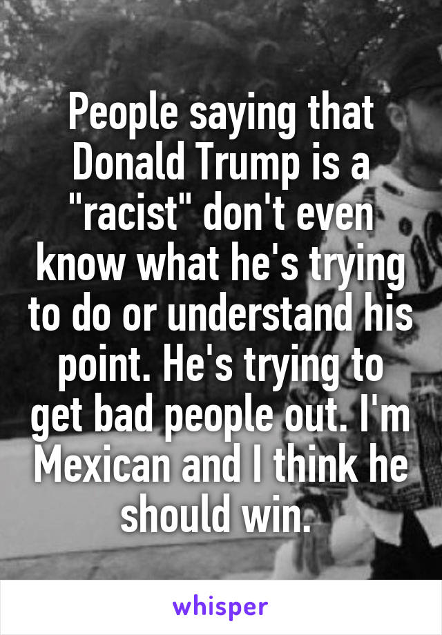 People saying that Donald Trump is a "racist" don't even know what he's trying to do or understand his point. He's trying to get bad people out. I'm Mexican and I think he should win. 