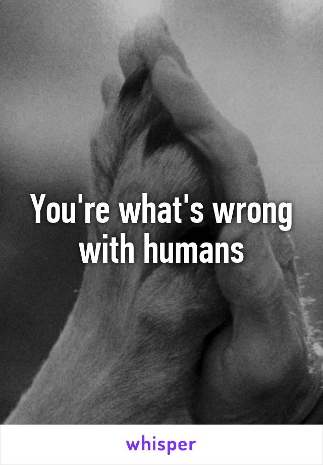 You're what's wrong with humans