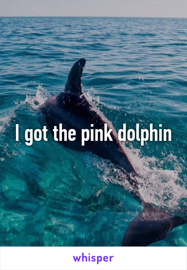 I got the pink dolphin