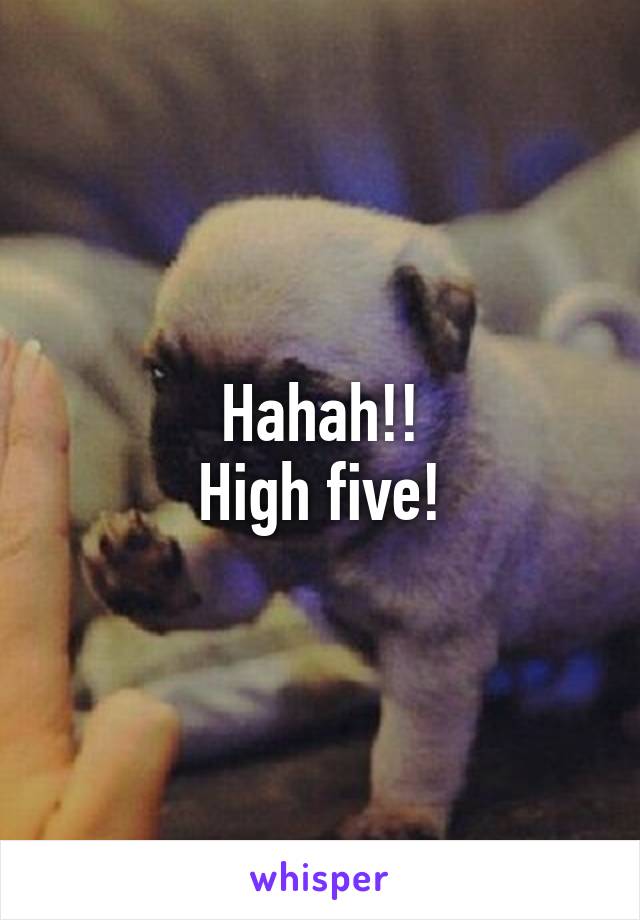 Hahah!!
High five!