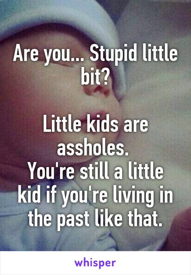 Are you... Stupid little bit?

Little kids are assholes. 
You're still a little kid if you're living in the past like that.