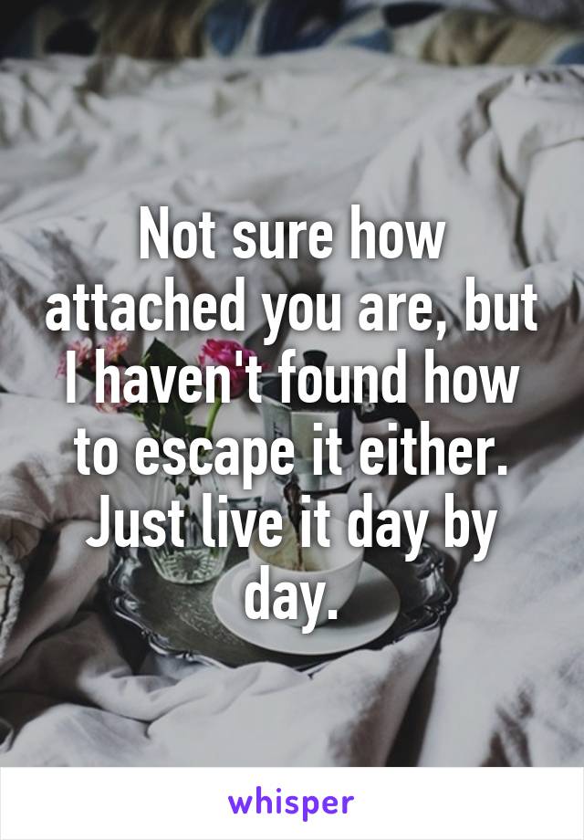 Not sure how attached you are, but I haven't found how to escape it either. Just live it day by day.