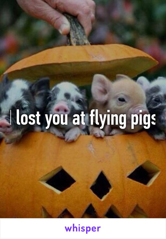 I lost you at flying pigs