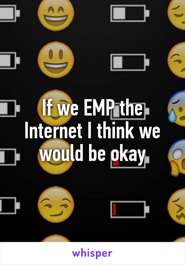 If we EMP the Internet I think we would be okay