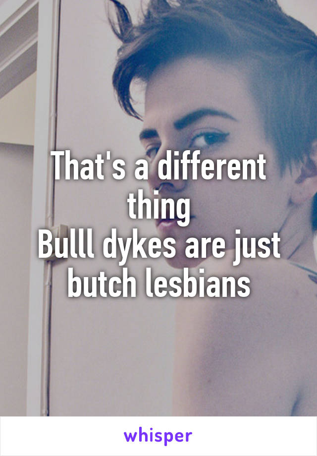 That's a different thing
Bulll dykes are just butch lesbians