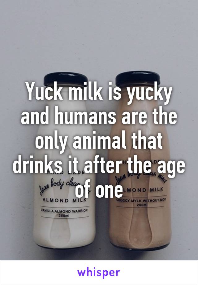 Yuck milk is yucky and humans are the only animal that drinks it after the age of one