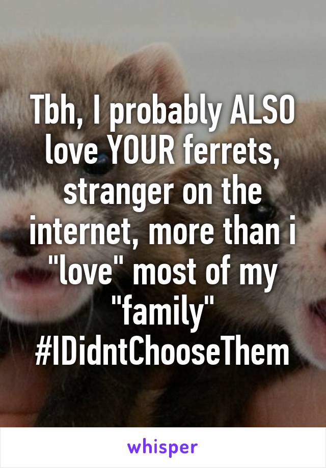 Tbh, I probably ALSO love YOUR ferrets, stranger on the internet, more than i "love" most of my "family" #IDidntChooseThem