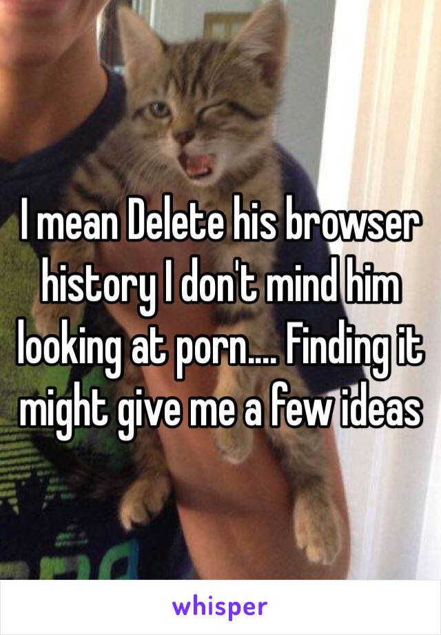 I mean Delete his browser history I don't mind him looking at porn.... Finding it might give me a few ideas 