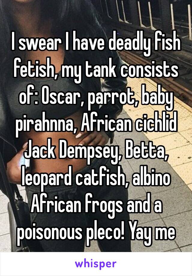 I swear I have deadly fish fetish, my tank consists of: Oscar, parrot, baby pirahnna, African cichlid Jack Dempsey, Betta, leopard catfish, albino African frogs and a poisonous pleco! Yay me