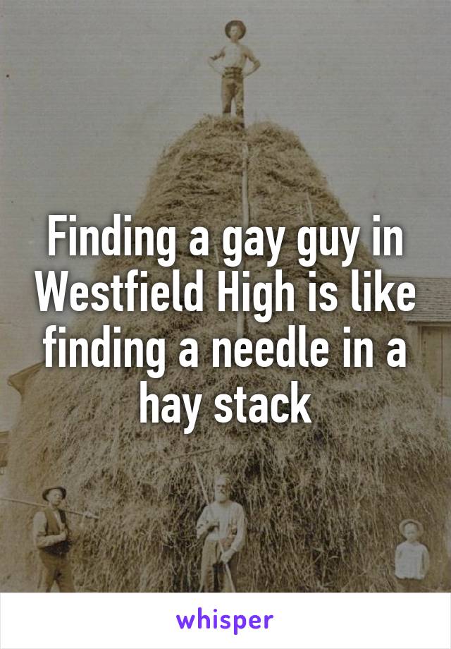 Finding a gay guy in Westfield High is like finding a needle in a hay stack