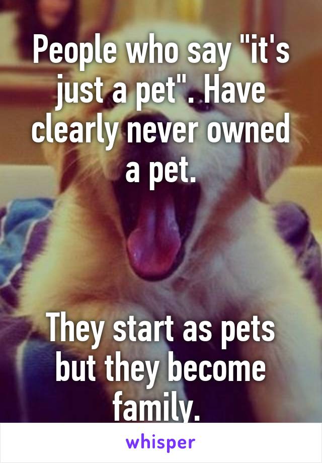 People who say "it's just a pet". Have clearly never owned a pet.



They start as pets but they become family. 