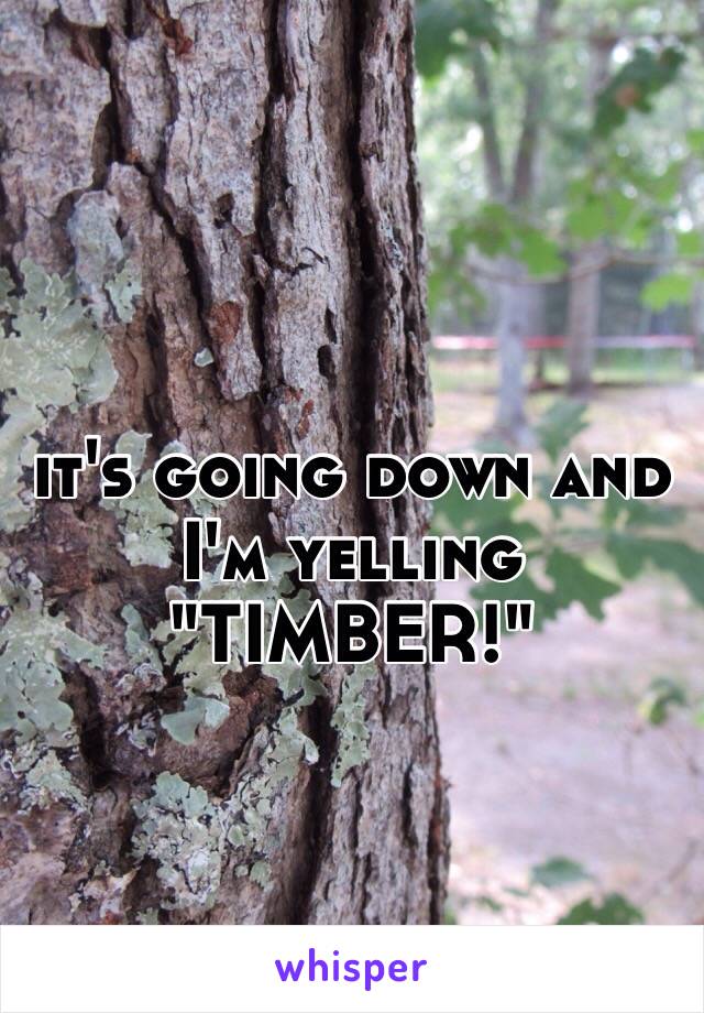 it's going down and I'm yelling
"TIMBER!"