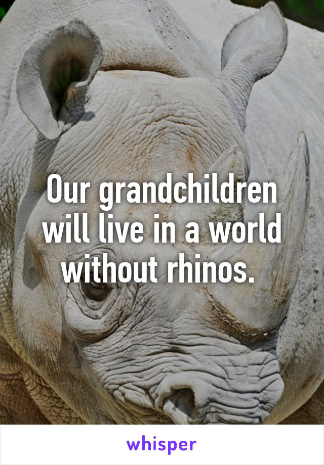 Our grandchildren will live in a world without rhinos. 