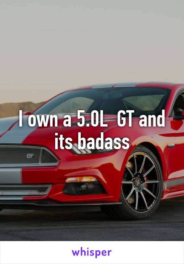 I own a 5.0L  GT and its badass