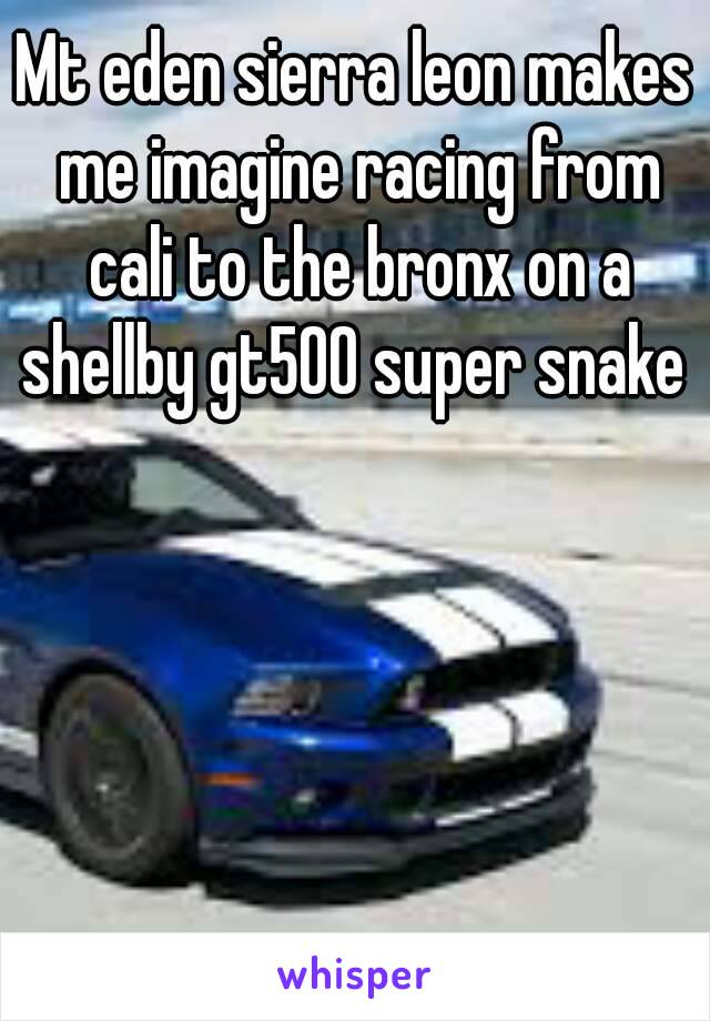 Mt eden sierra leon makes me imagine racing from cali to the bronx on a shellby gt500 super snake 