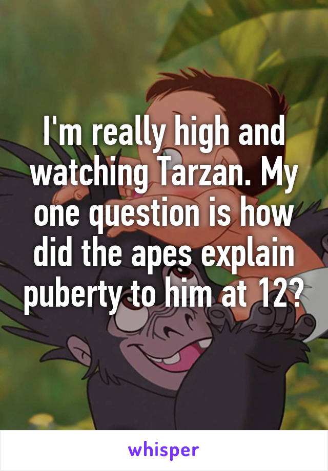 I'm really high and watching Tarzan. My one question is how did the apes explain puberty to him at 12? 