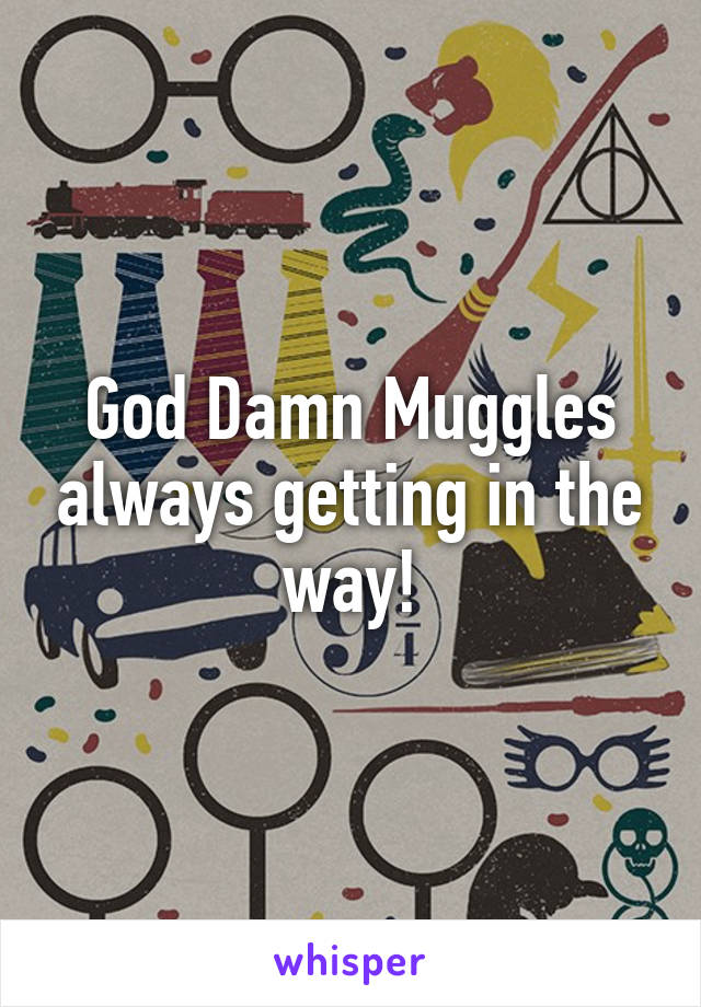 God Damn Muggles always getting in the way!