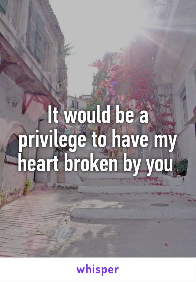 It would be a privilege to have my heart broken by you 