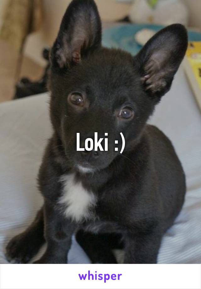 Loki :)