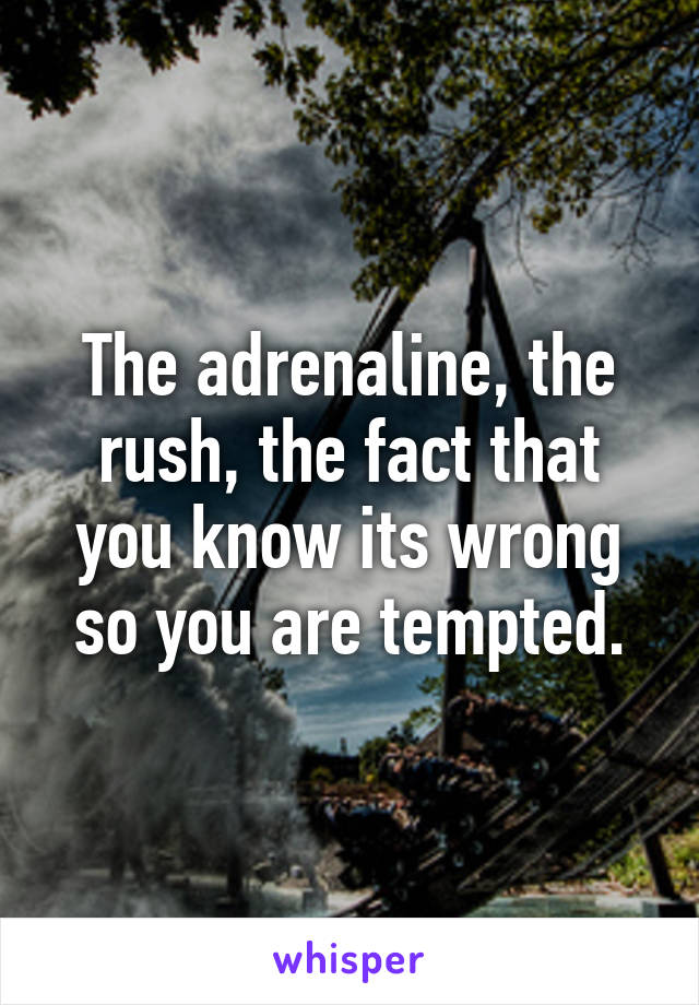 The adrenaline, the rush, the fact that you know its wrong so you are tempted.