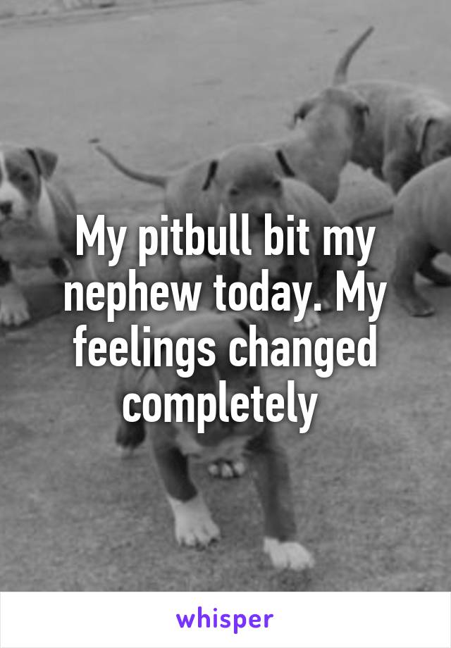 My pitbull bit my nephew today. My feelings changed completely 