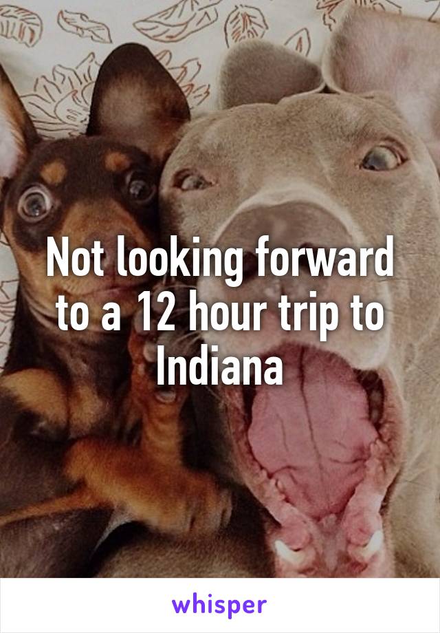 Not looking forward to a 12 hour trip to Indiana