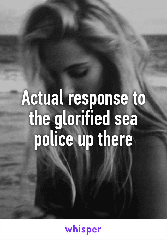 Actual response to the glorified sea police up there