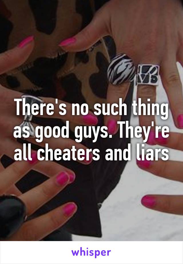 There's no such thing as good guys. They're all cheaters and liars