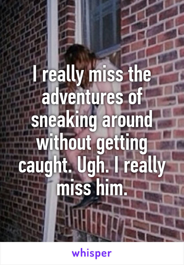 I really miss the adventures of sneaking around without getting caught. Ugh. I really miss him.