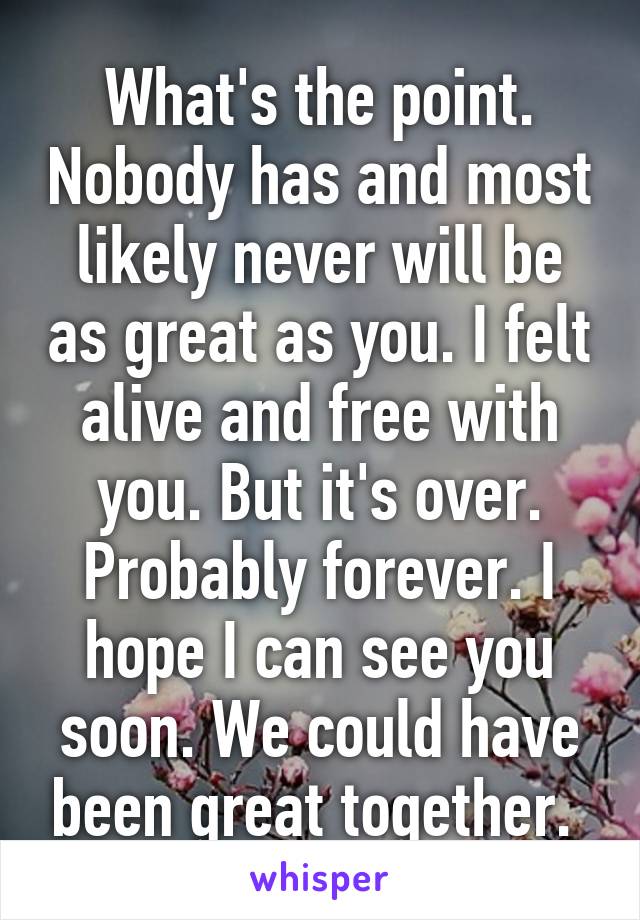 What's the point. Nobody has and most likely never will be as great as you. I felt alive and free with you. But it's over. Probably forever. I hope I can see you soon. We could have been great together. 