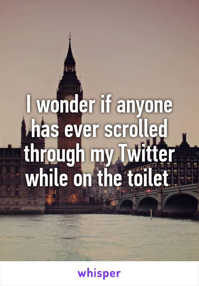 I wonder if anyone has ever scrolled through my Twitter while on the toilet 