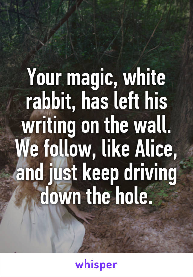 Your magic, white rabbit, has left his writing on the wall. We follow, like Alice, and just keep driving down the hole.