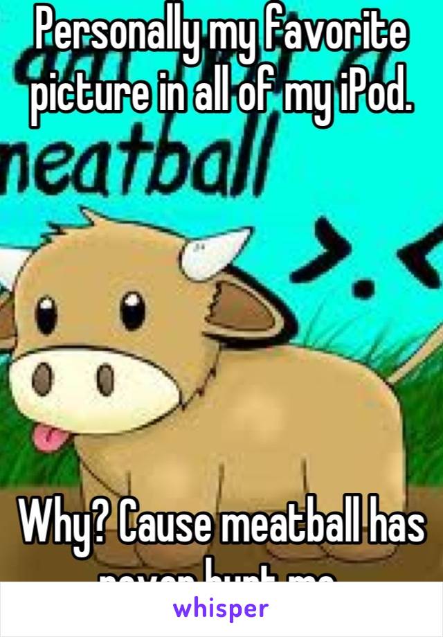 Personally my favorite picture in all of my iPod.






Why? Cause meatball has never hurt me.