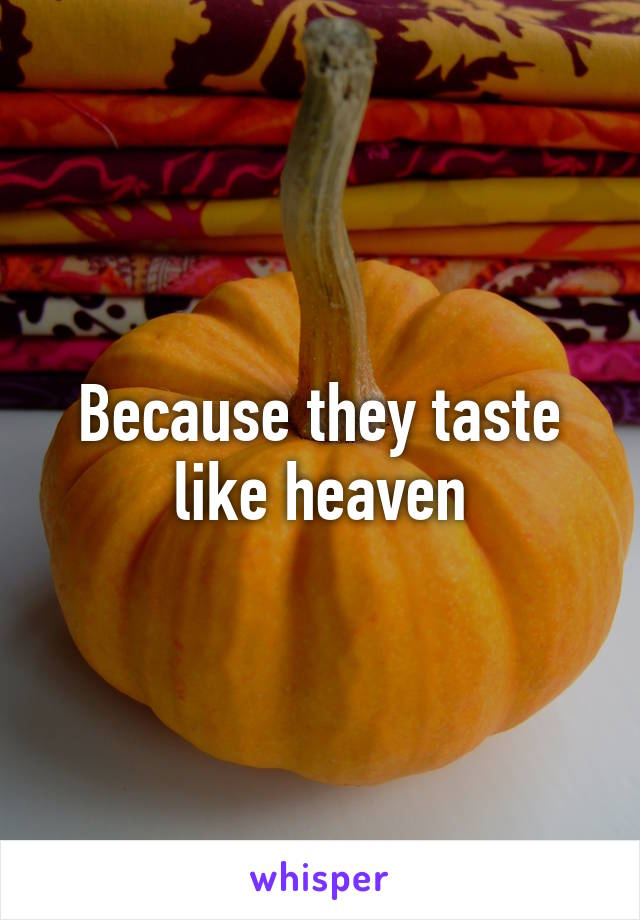 Because they taste like heaven