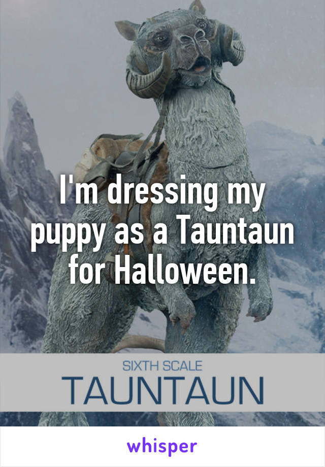 I'm dressing my puppy as a Tauntaun for Halloween.