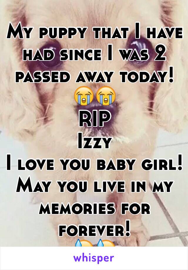 My puppy that I have had since I was 2 passed away today! 😭😭
RIP
Izzy
I love you baby girl!
May you live in my memories for forever! 
😓😓