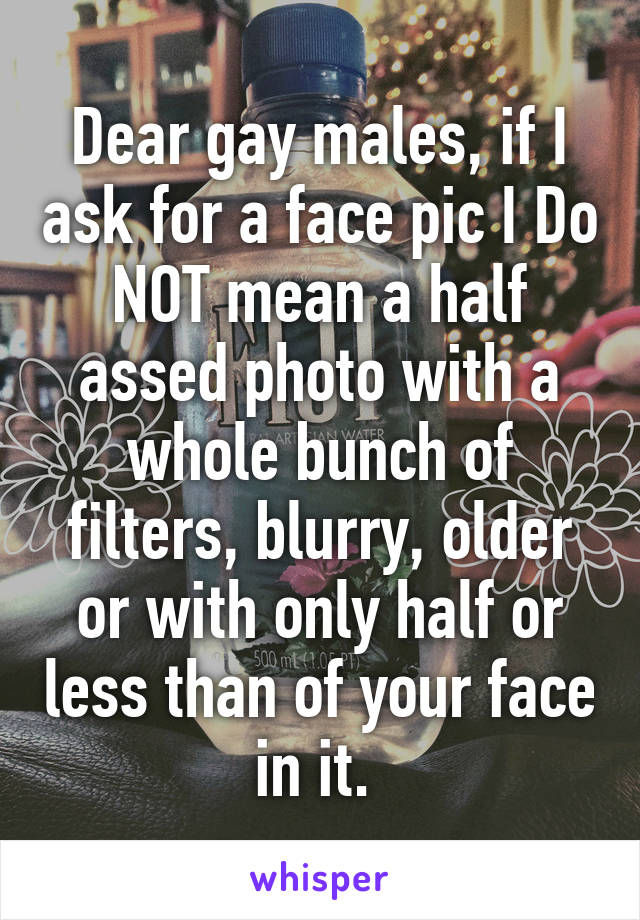 Dear gay males, if I ask for a face pic I Do NOT mean a half assed photo with a whole bunch of filters, blurry, older or with only half or less than of your face in it. 