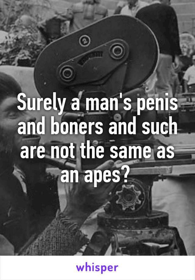 Surely a man's penis and boners and such are not the same as an apes? 