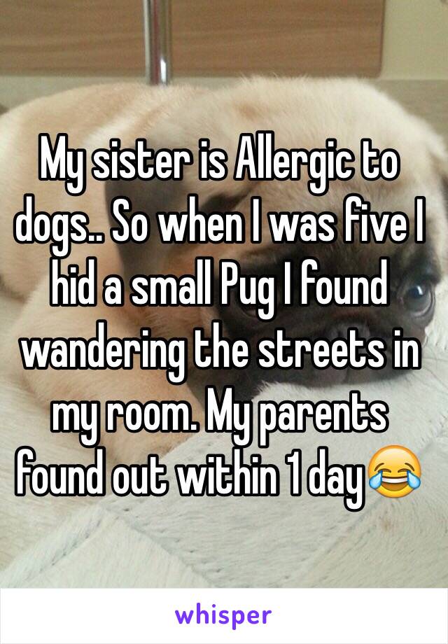 My sister is Allergic to dogs.. So when I was five I hid a small Pug I found wandering the streets in my room. My parents found out within 1 day😂