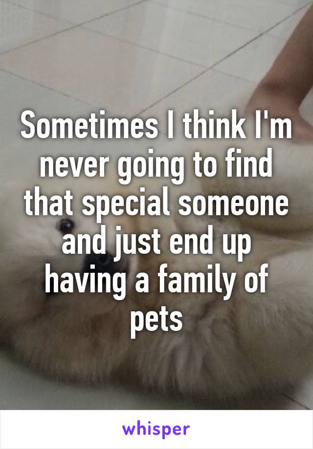 Sometimes I think I'm never going to find that special someone and just end up having a family of pets