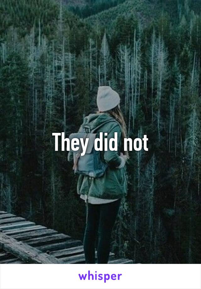 They did not