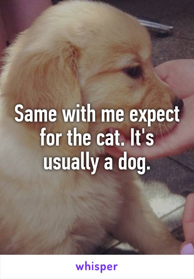 Same with me expect for the cat. It's usually a dog.