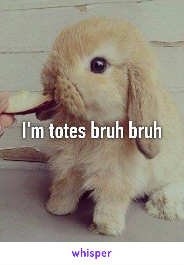 I'm totes bruh bruh